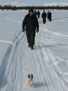 The pup looks to be the one that is most enthusiastic about the walk.