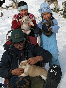 Just a few of the puppies that were out on the trip too.