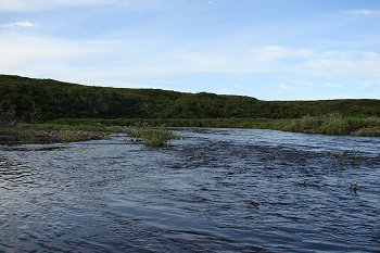 Grassy hill and a little stream.