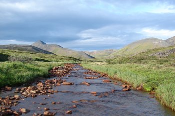 A rocky creek to the mountains.