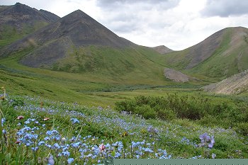 A nice green little opening surrounded by some mountains.