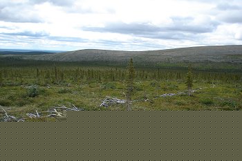 One side of a caribou fence located at Black Fox #1.