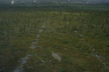 An aerial view of the same fence.