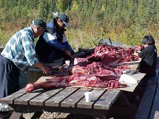 Preparing Moose Meat