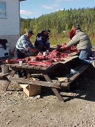 Preparing Moose Meat