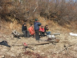 Hunting up Porcupine River