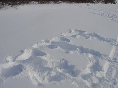 The kids made snow angels while they waited.