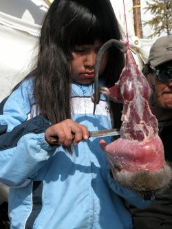 Liannah skinning a muskrat.